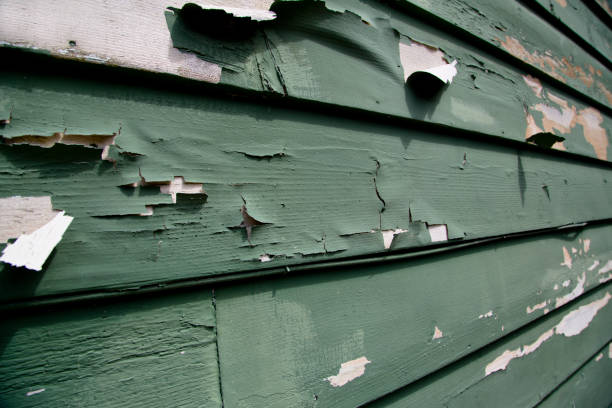 Best Storm Damage Siding Repair  in Villanova, PA